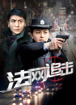 法网追击封面图