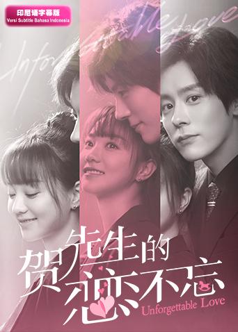 贺先生的恋恋不忘印尼语字幕版封面图