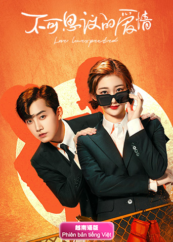 不可思议的爱情越南语版封面图