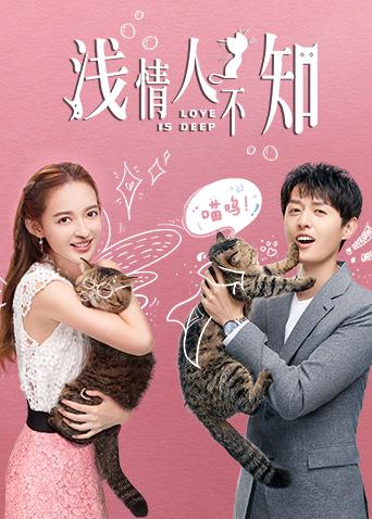 浅情人不知封面图