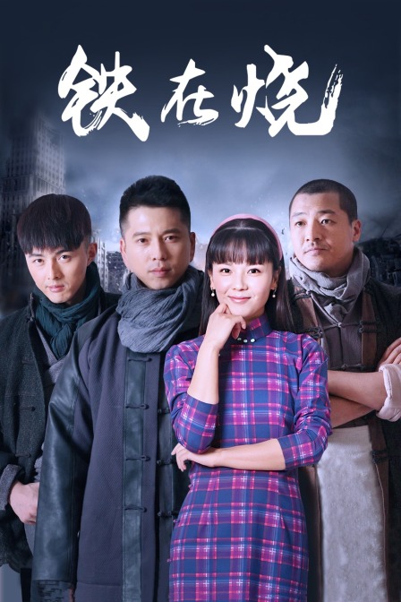 铁在烧封面图