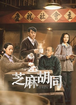 芝麻胡同封面图