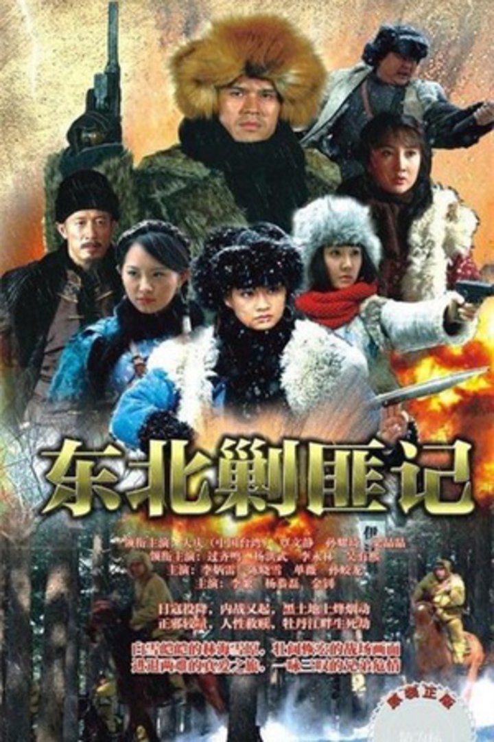 东北剿匪记封面图