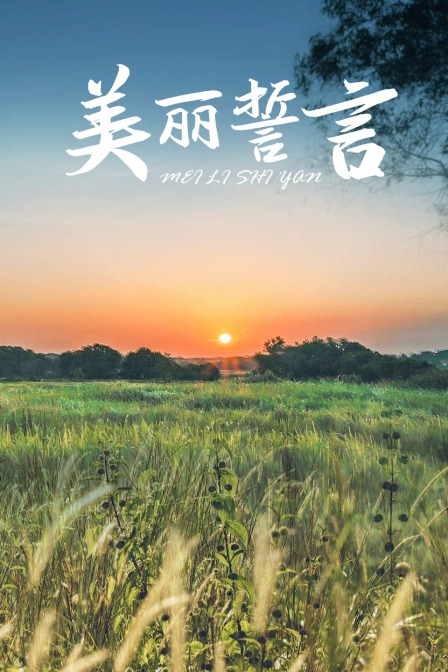 美丽誓言封面图