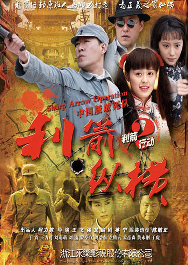 利箭纵横封面图