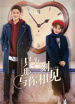 只为那一刻与你相见封面图