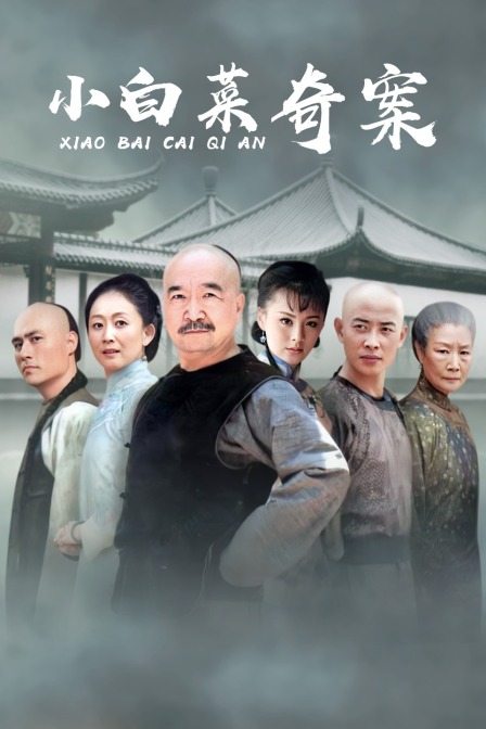 小白菜奇案封面图