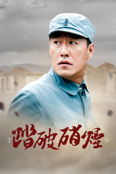 踏破硝烟封面图