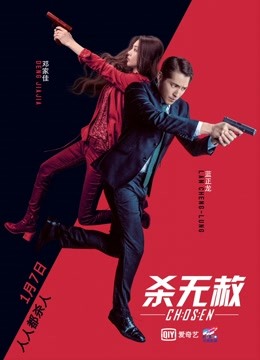 杀无赦入局封面图