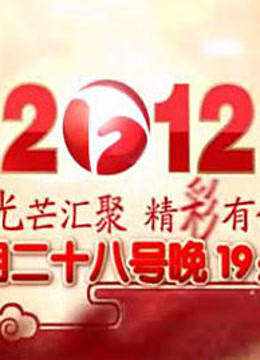安徽卫视2012春晚封面图