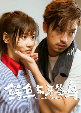 鳄鱼与牙签鸟D第五季D版封面图