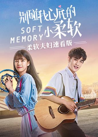 柔软夫妇速看版封面图