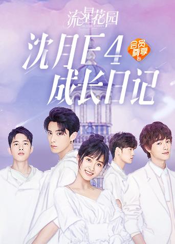 流星花园沈月F4成长日记封面图