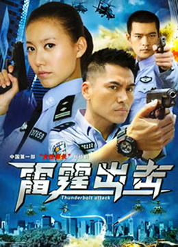 要案组雷霆出击封面图