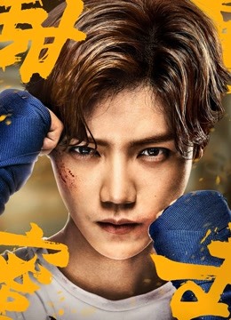 甜蜜暴击D第五季D版封面图