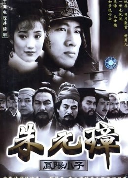 凤阳小子朱元璋封面图