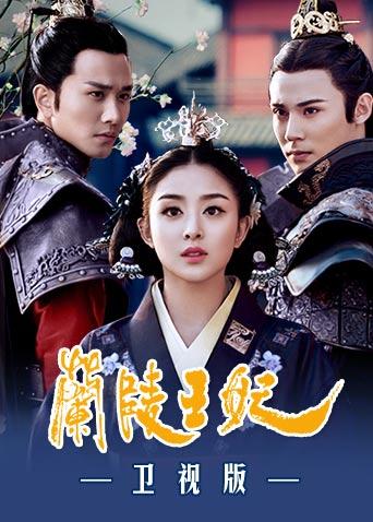 兰陵王妃封面图