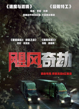 飓风奇劫普通话版封面图