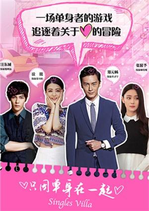 只因单身在一起封面图