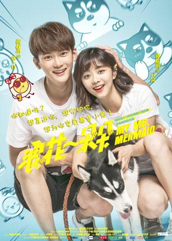 浪花一朵朵D第五季D版封面图