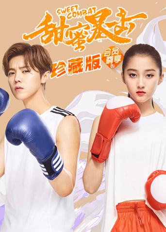 甜蜜暴击珍藏版封面图