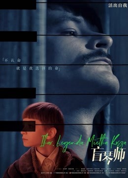 盲琴师普通话版封面图