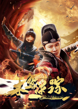 木鸢迷踪封面图