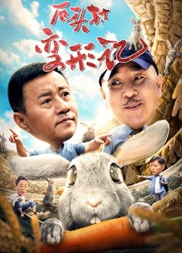 石头村变形记封面图