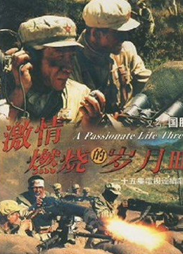 激情燃烧的岁月3封面图