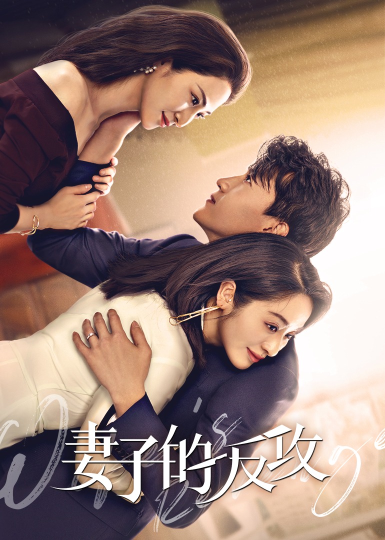 妻子的反攻封面图