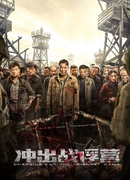 冲出战俘营封面图