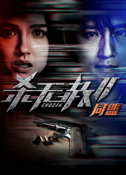 杀无赦2第二季同盟封面图