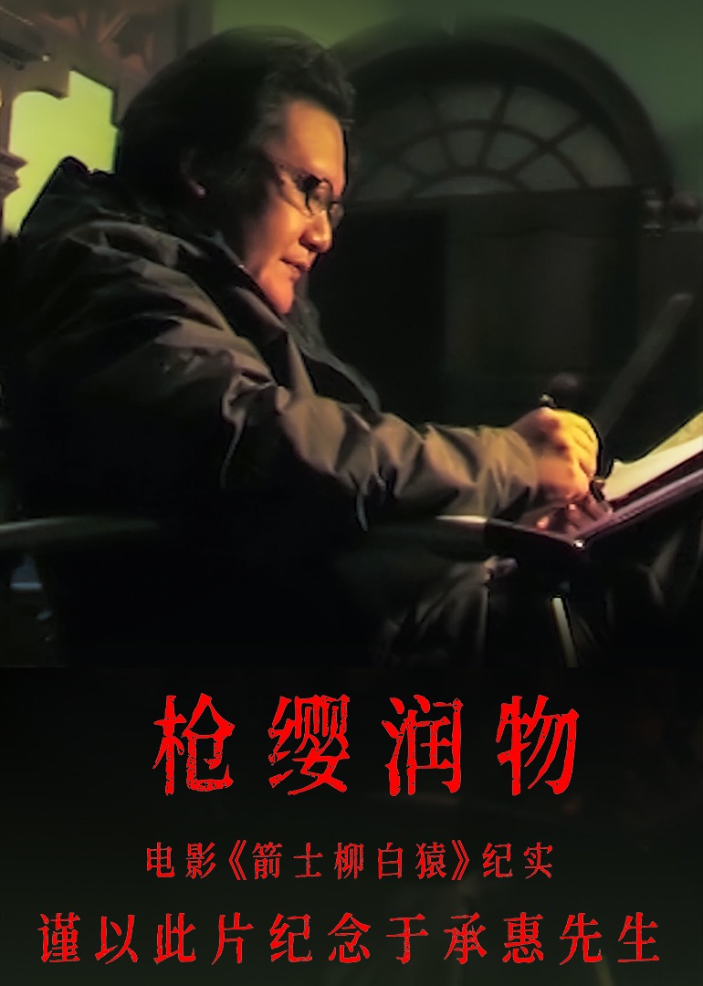 枪缨润物电影箭士柳白猿纪实封面图