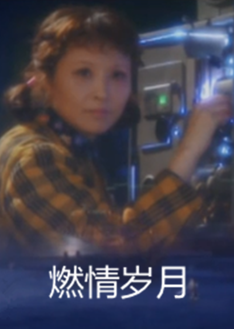 燃情岁月封面图