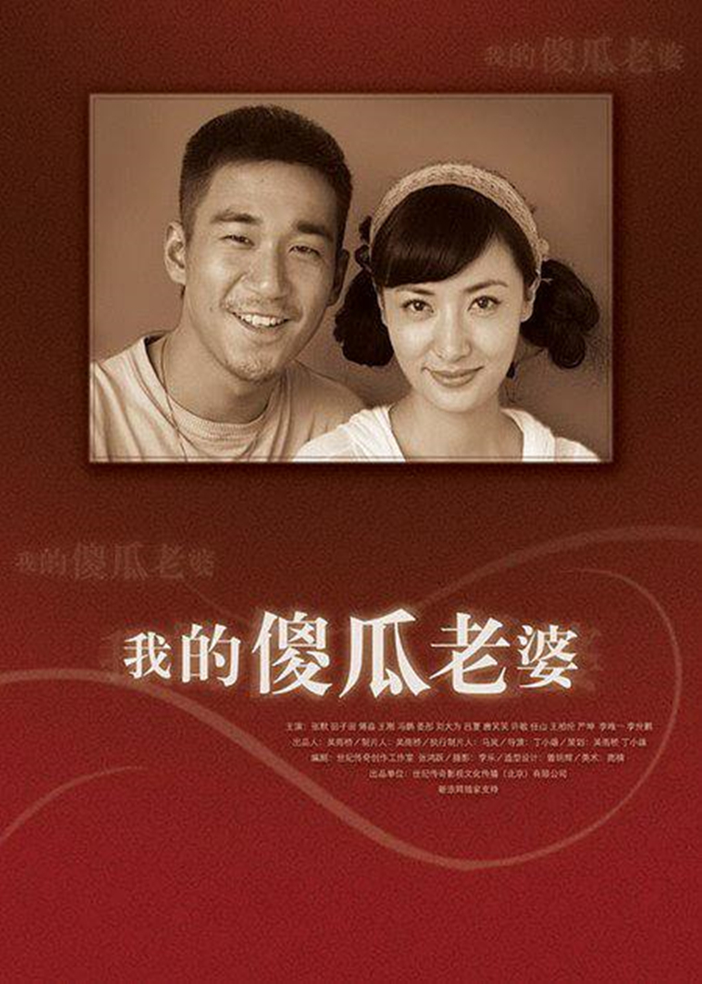 我的傻瓜老婆封面图