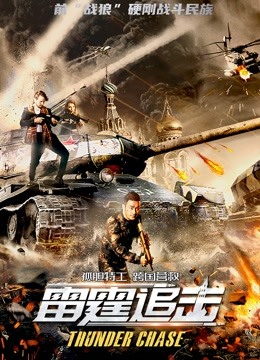 雷霆追击封面图