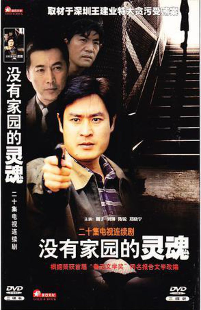没有家园的灵魂封面图