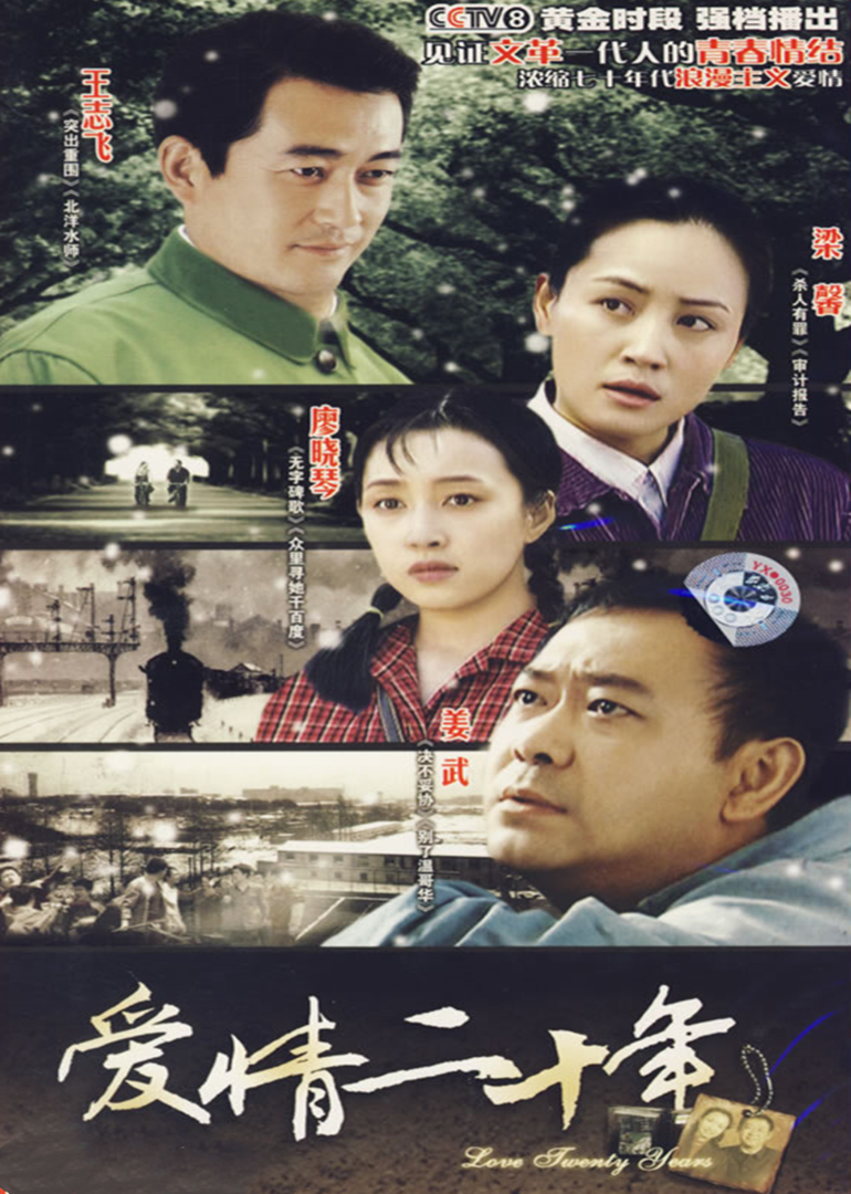 爱情二十年封面图