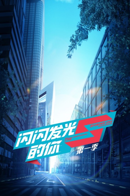 闪闪发光的你封面图