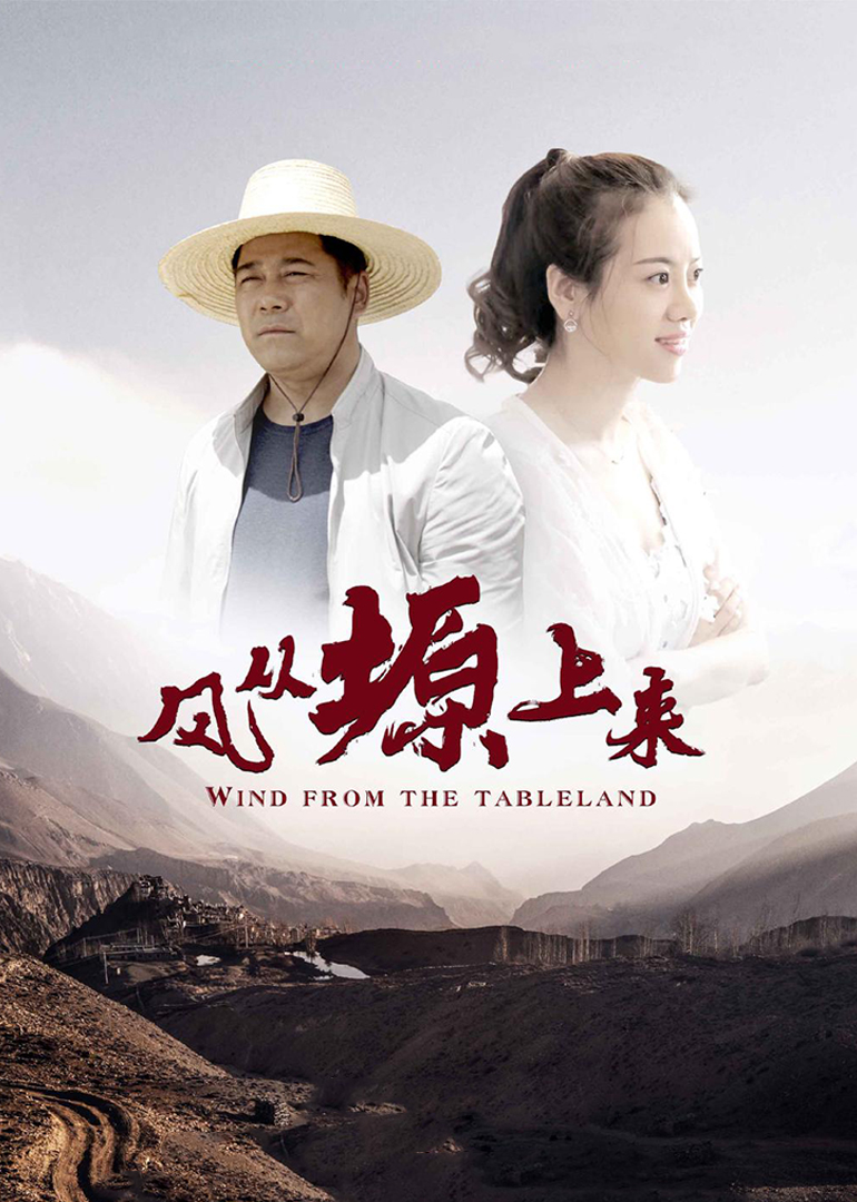 风从塬上来封面图