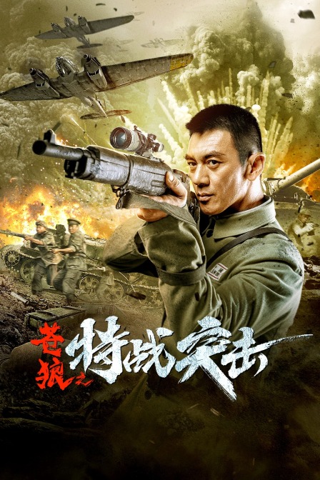 苍狼之特战突击封面图