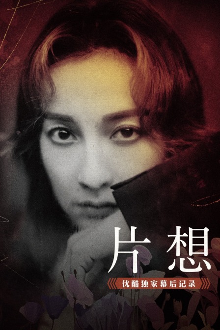 片想优酷独家幕后记录封面图