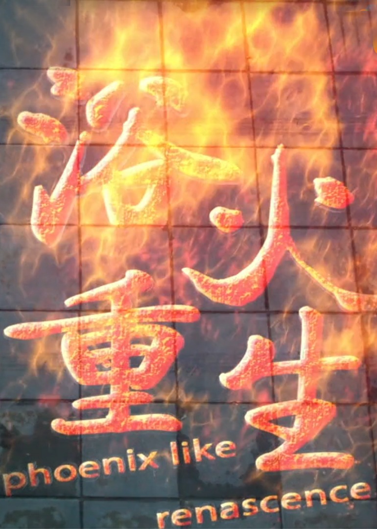 浴火重生封面图