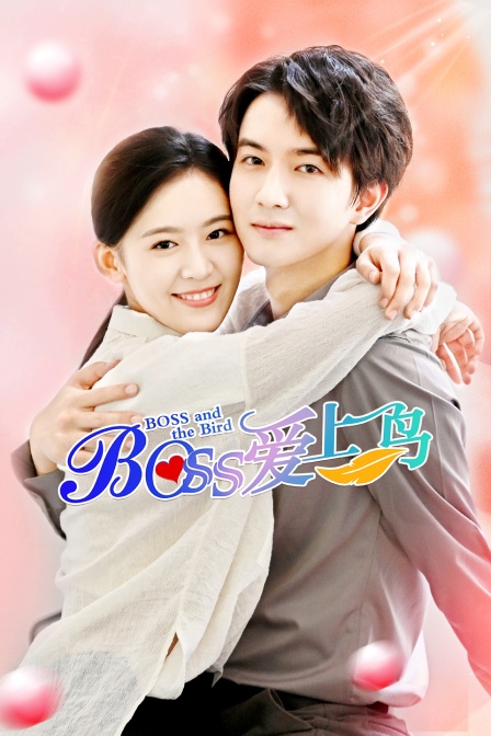Boss爱上鸟封面图