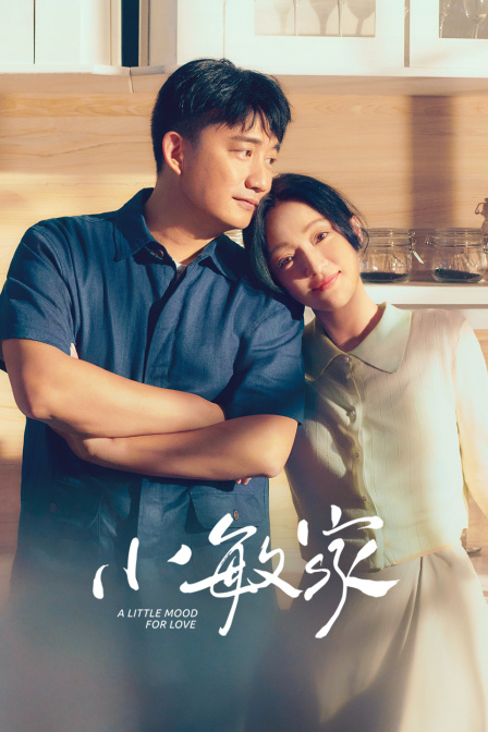 小敏家T第五季版封面图