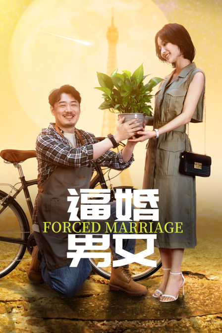 逼婚男女封面图