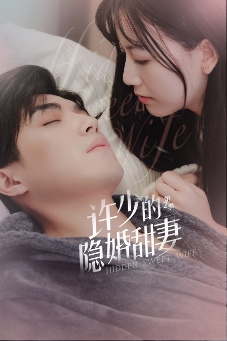 许少的隐婚甜妻第二季封面图