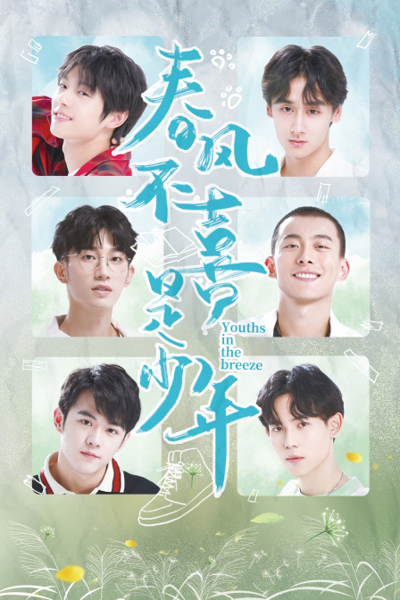 春风不喜是少年封面图