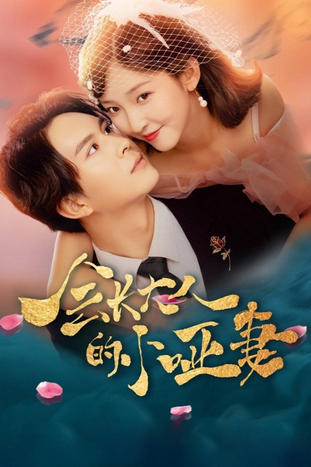 会长大人的小哑妻封面图