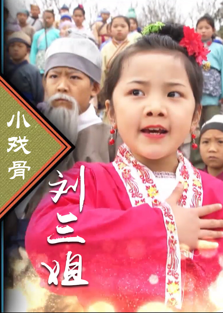 小戏骨刘三姐封面图